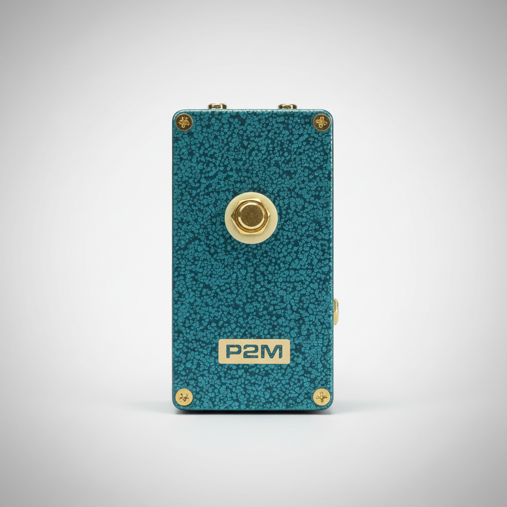 P2M top view 1